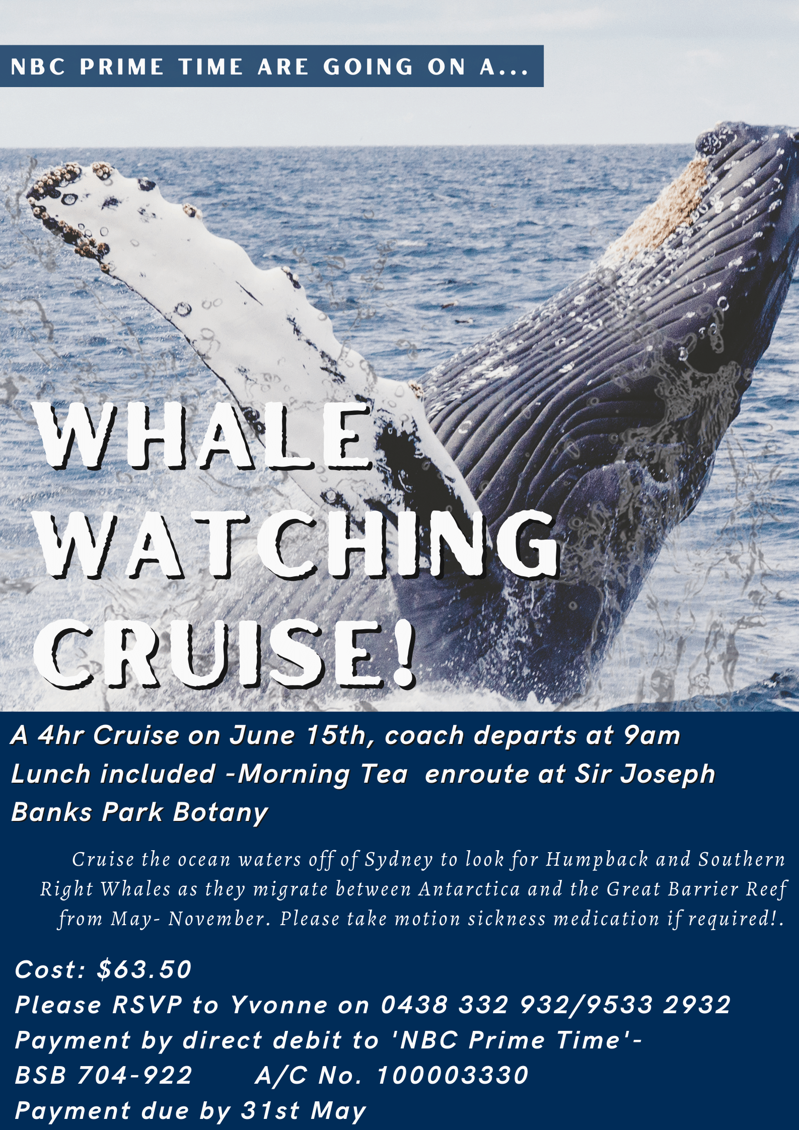 Prime Time- Whale Watching Cruise