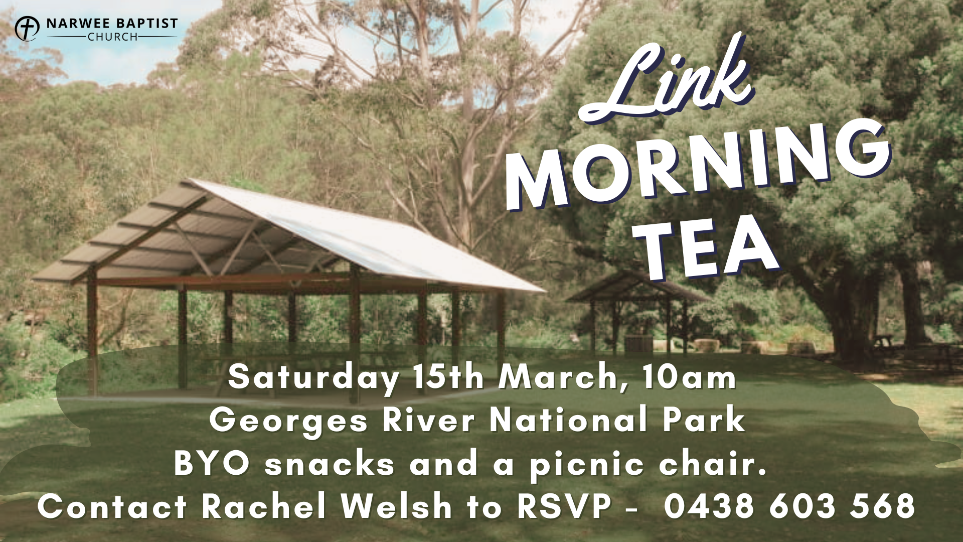 LINK Morning Tea Picnic